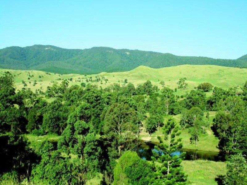 Real Estate For Sale Palen Creek , QLD