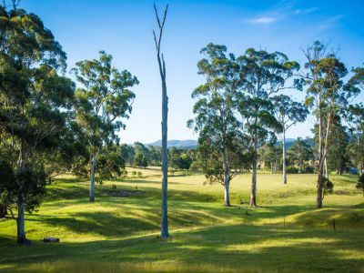 6/13 Millingandi Road, Millingandi