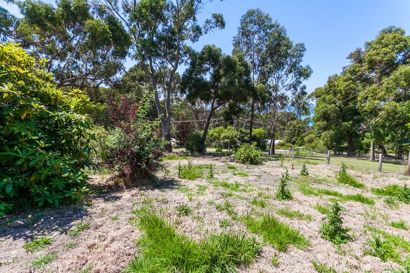 11 Allen Street, Lorne, VIC, Lorne - Thumbnail 4