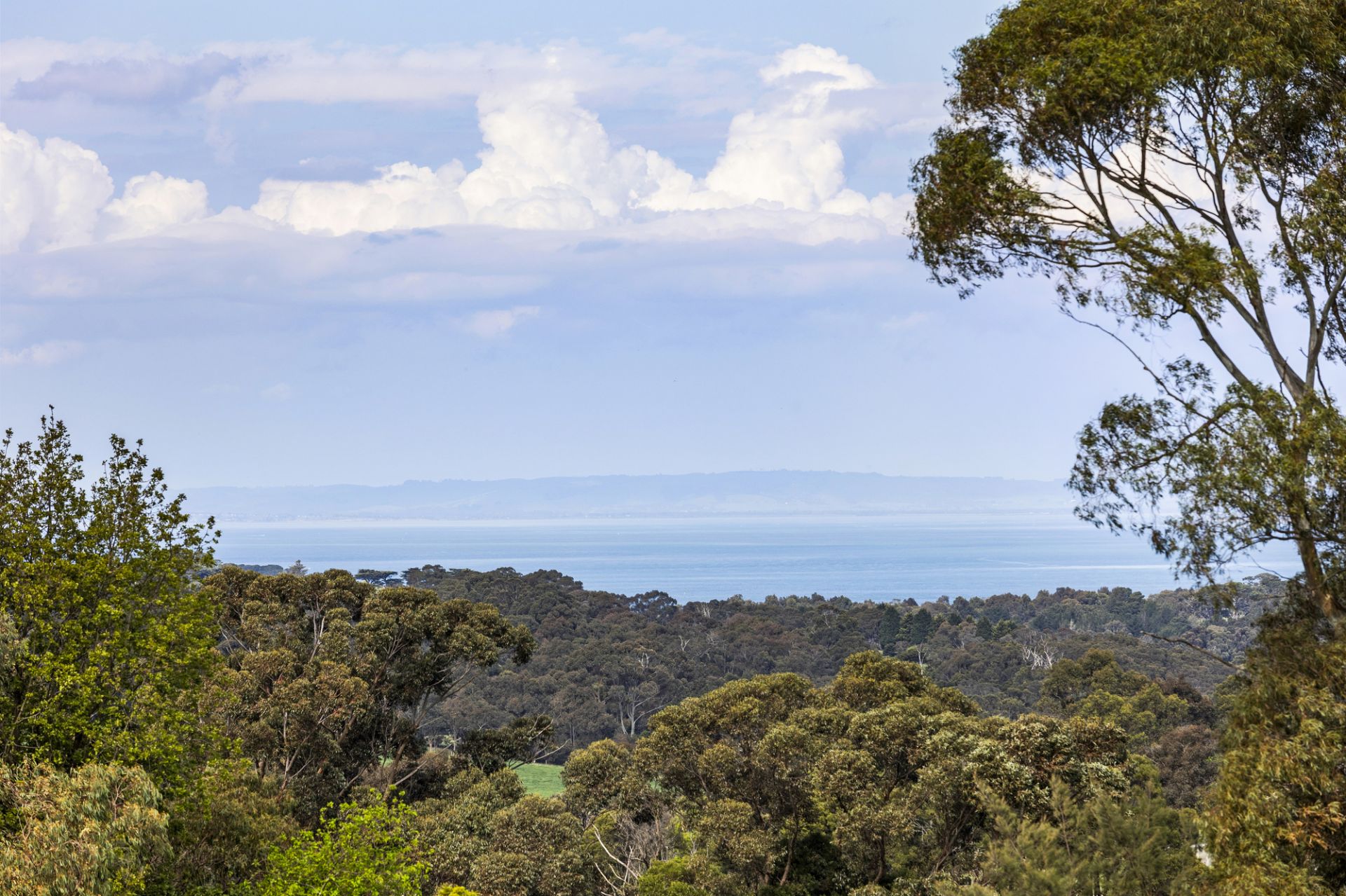 Kay & Burton 22 Paringa Road, Red Hill South