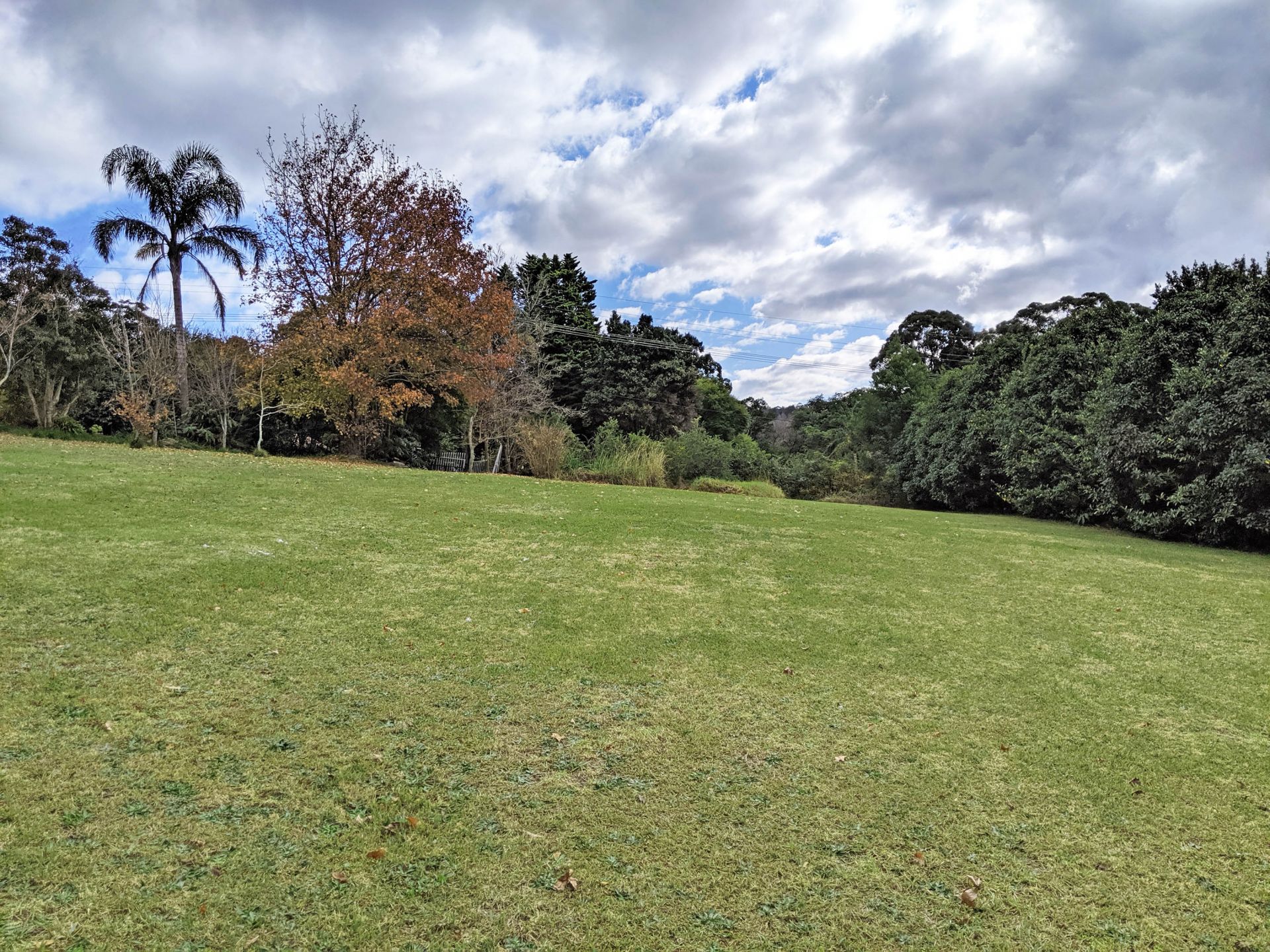 10 Douglas Road, Kurrajong Heights - Thumbnail 5