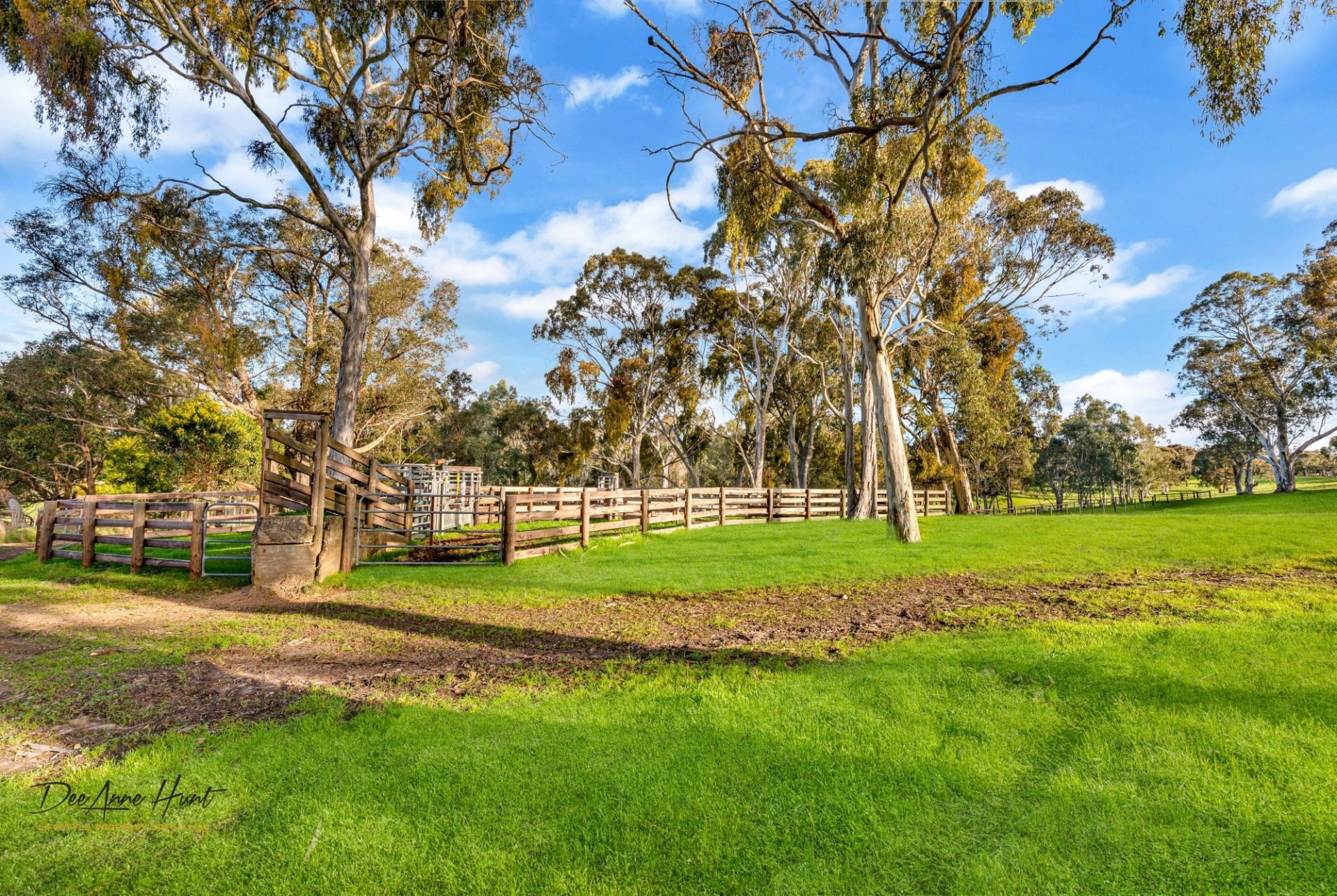 934 Strathalbyn Road, Biggs Flat Williams Real Estate