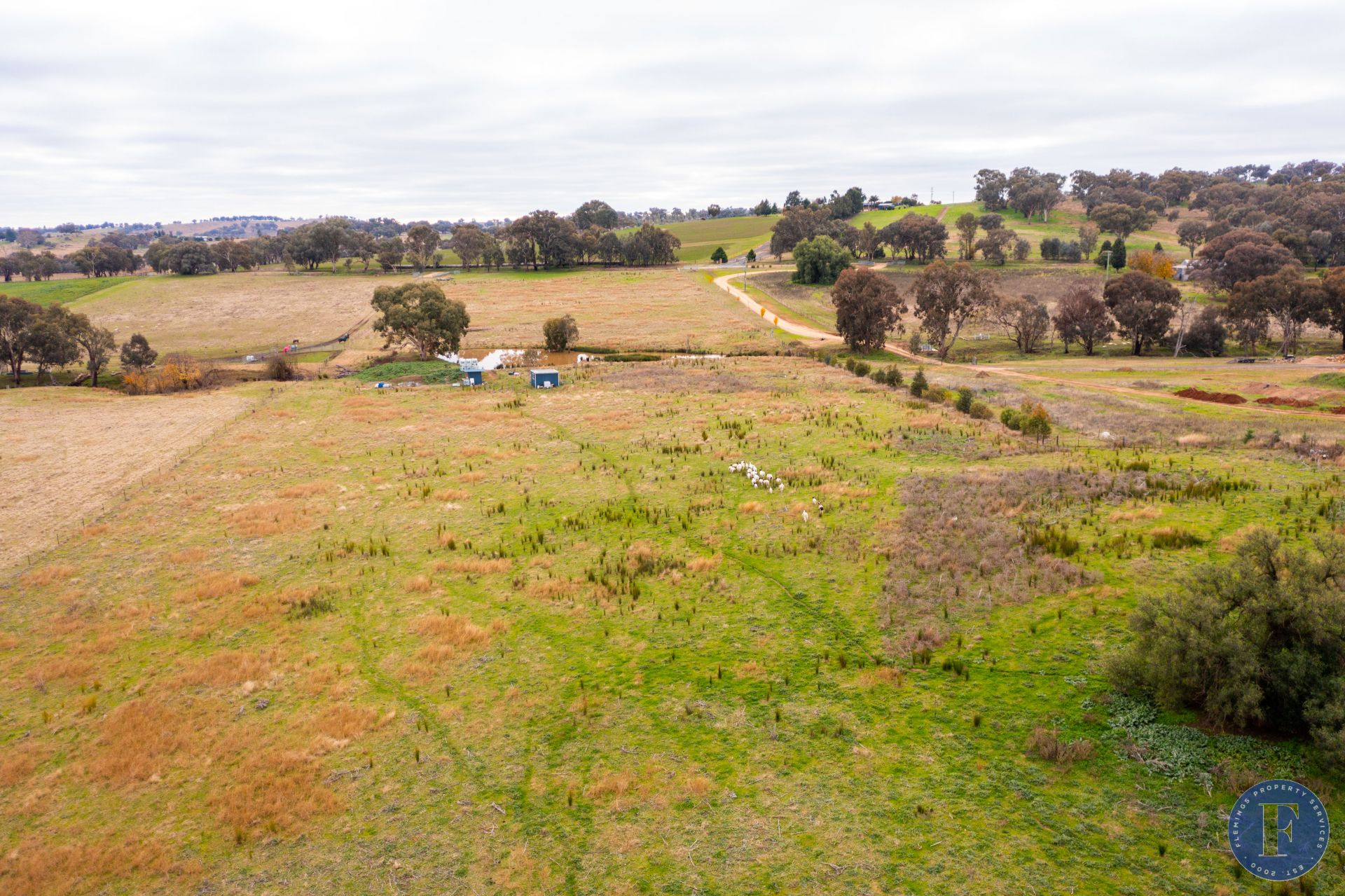 141 Forbes Lane, Young NSW, Young - Thumbnail 7