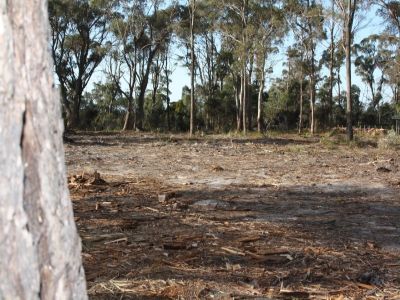 117 Panatana Drive, PORT SORELL, Port Sorell - Thumbnail 3