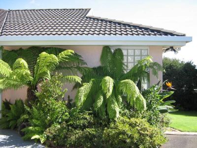 4
 
 
 
  
 
 
 2
 
 
 
  
 
 
 2
 
 
 
 
 
 
 
 10A Cocker Place, DEVONPORT TAS 7310, Devonport - Thumbnail 4