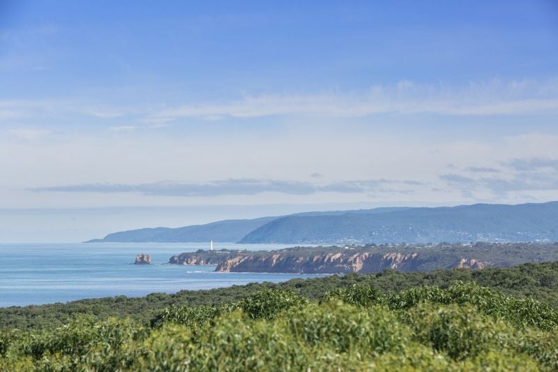 37 Second Avenue, Anglesea - Thumbnail 3