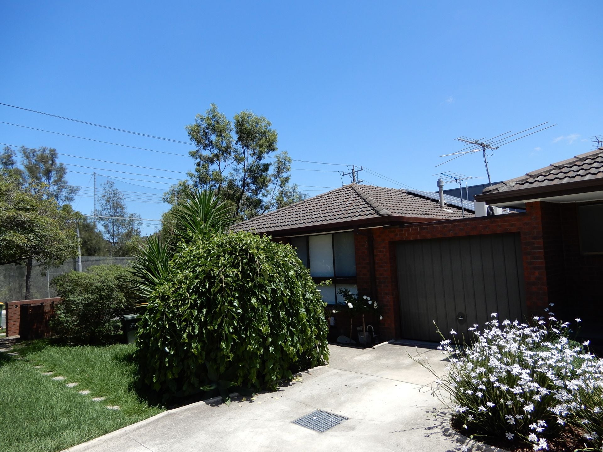 Renovated Large Two Bedroom Unit
