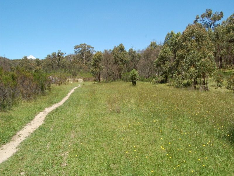 Real Estate For Sale 135 Seventeeth Avenue Eden Park , VIC