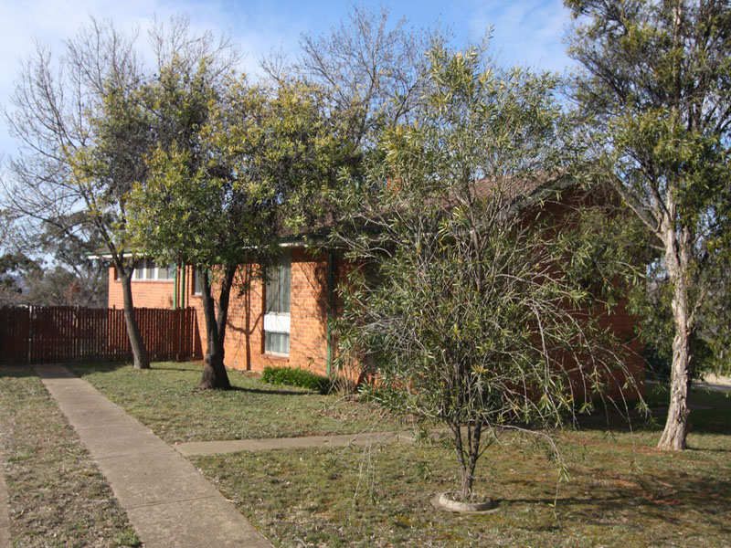 2 Epacris Place, Rivett - Thumbnail 3