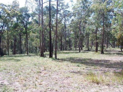 Lot 241 Millingandi Ridge Road, Millingandi