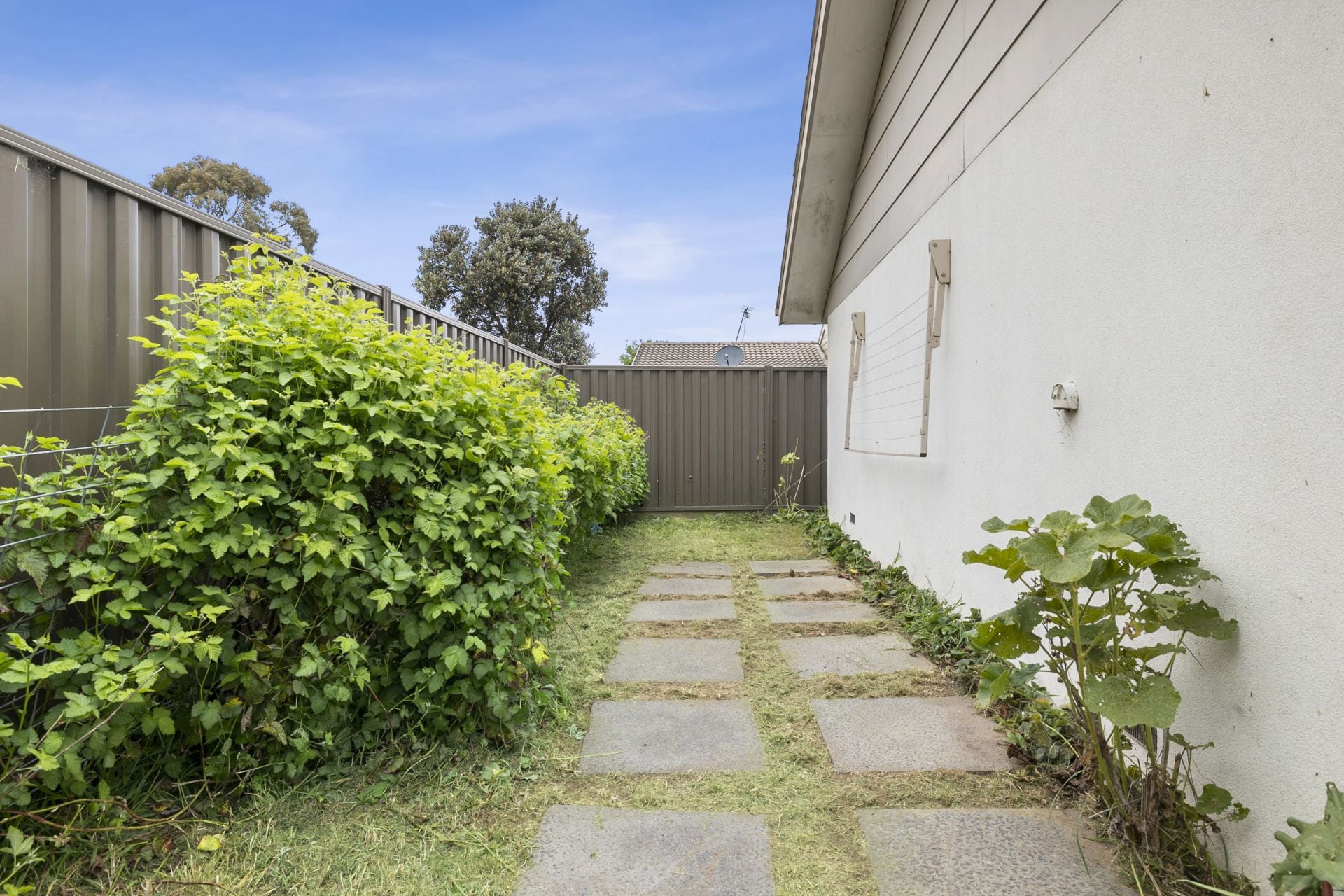 59 Vale Street Alfredton VIC, Alfredton - Thumbnail 2