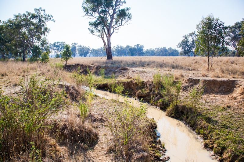Molkentin Road Jindera NSW, Jindera - Thumbnail 4