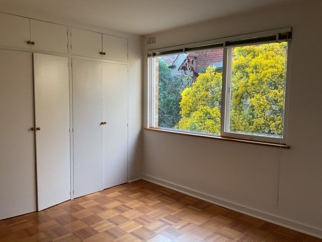 **Spacious and Sunny**