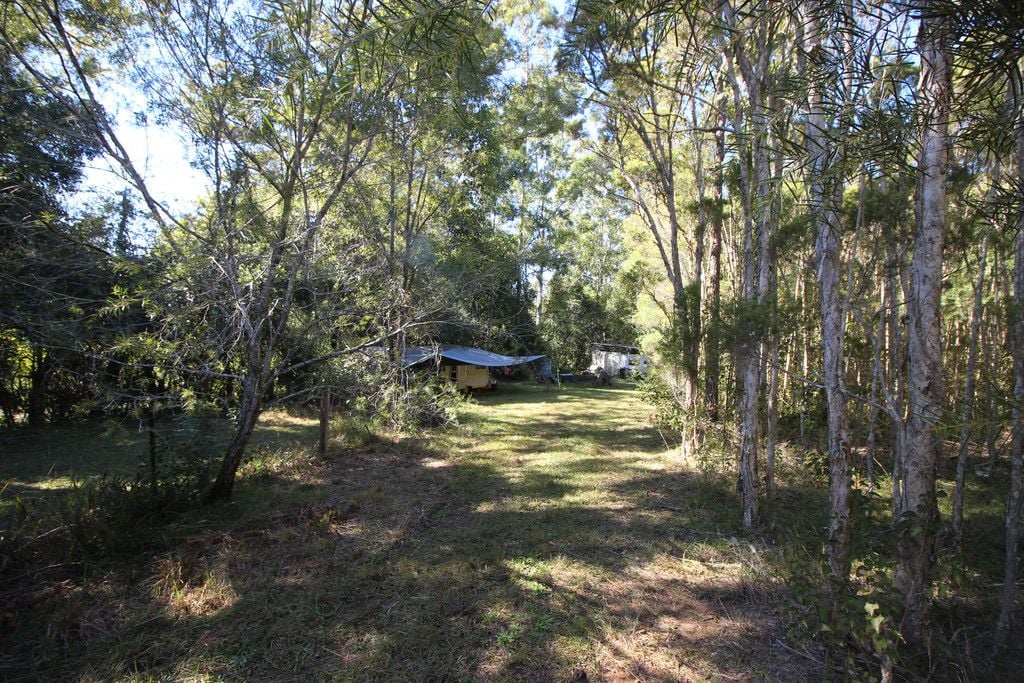 444 Upper Rollands Plains Road, UPPER ROLLANDS PLAINS NSW 2441