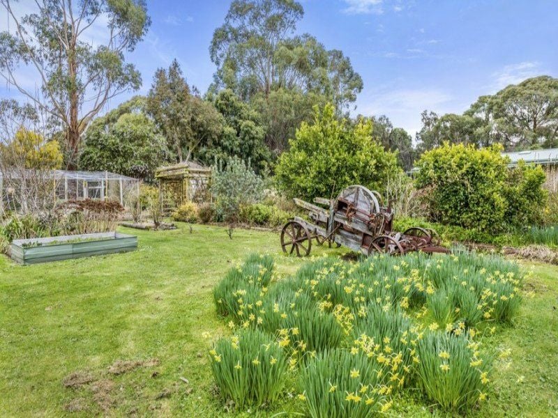 125 Old Beech Forest Road GELLIBRAND VIC, Gellibrand - Thumbnail 8