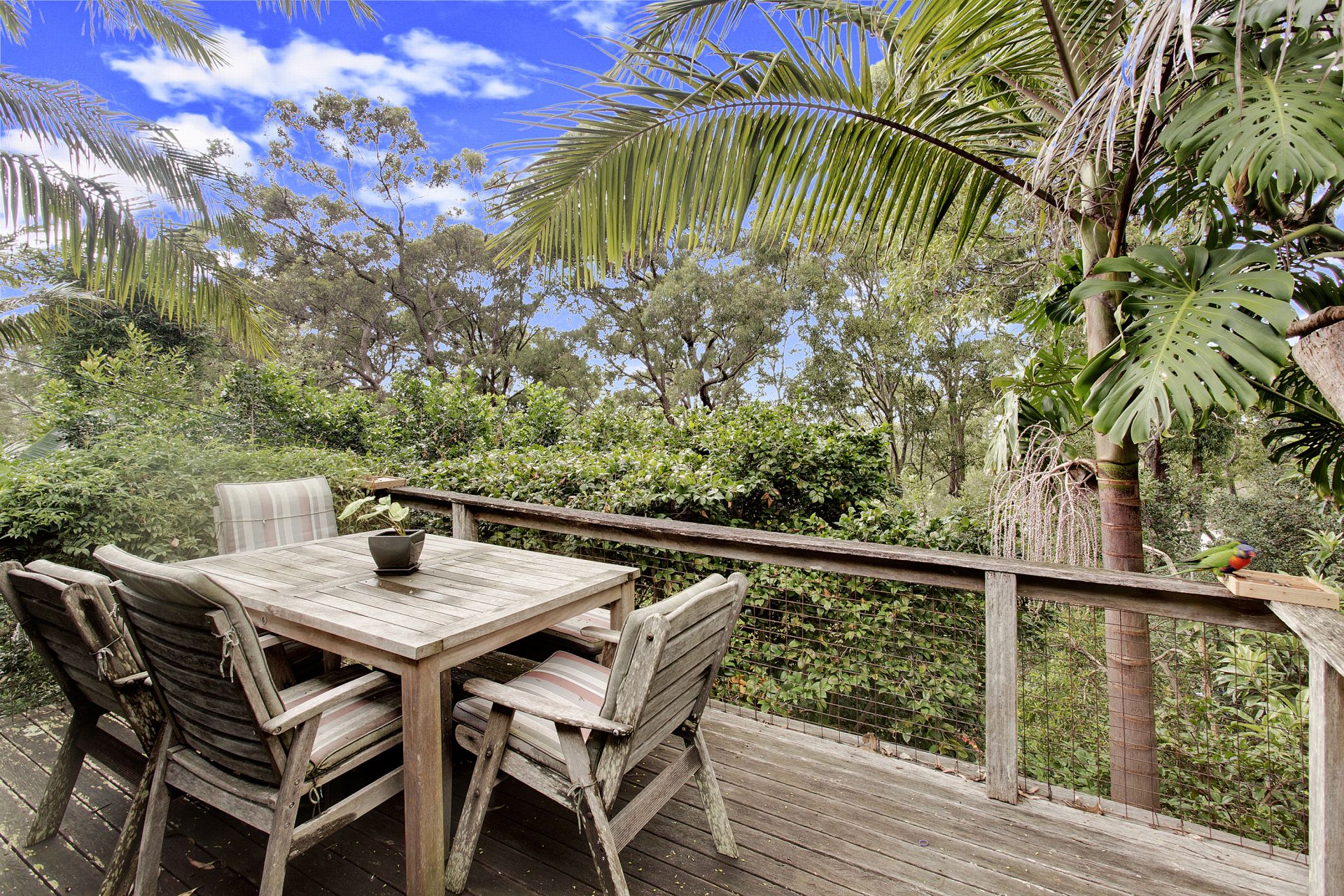 14 William Street Avalon Beach NSW, Avalon Beach - Thumbnail 2
