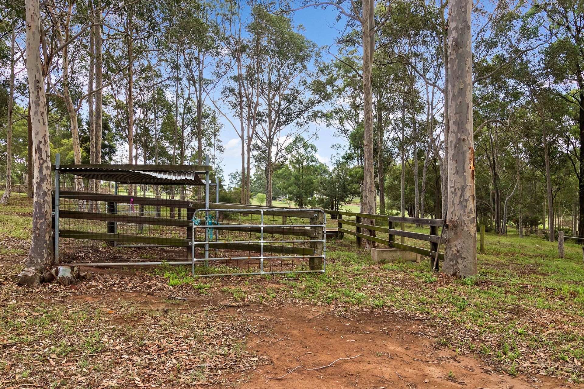 Real Estate For Sale 282 Sawyers Gully Road Sawyers Gully , NSW