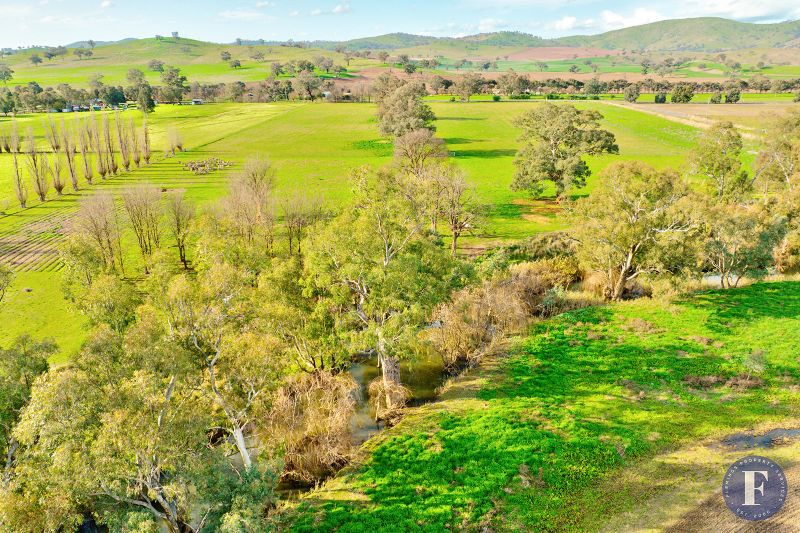1593 Muttama Road, Muttama NSW, Muttama - Thumbnail 7