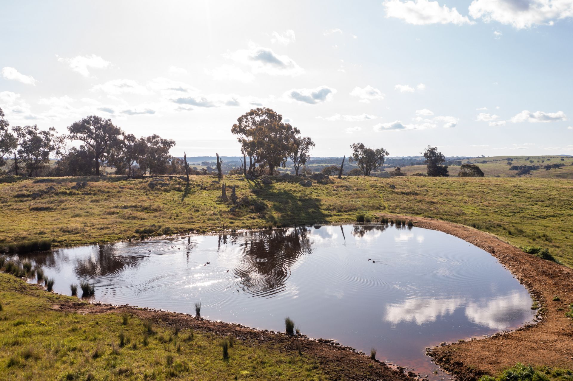 'Prospect' Sheridan Park Road, Boorowa NSW, Boorowa - Thumbnail 4