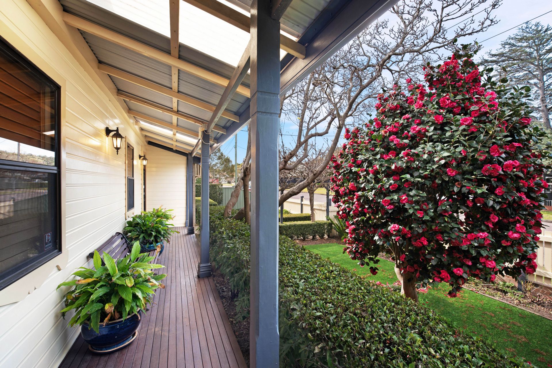 109 Lakeview Street Speers Point NSW, Speers Point - Thumbnail 5