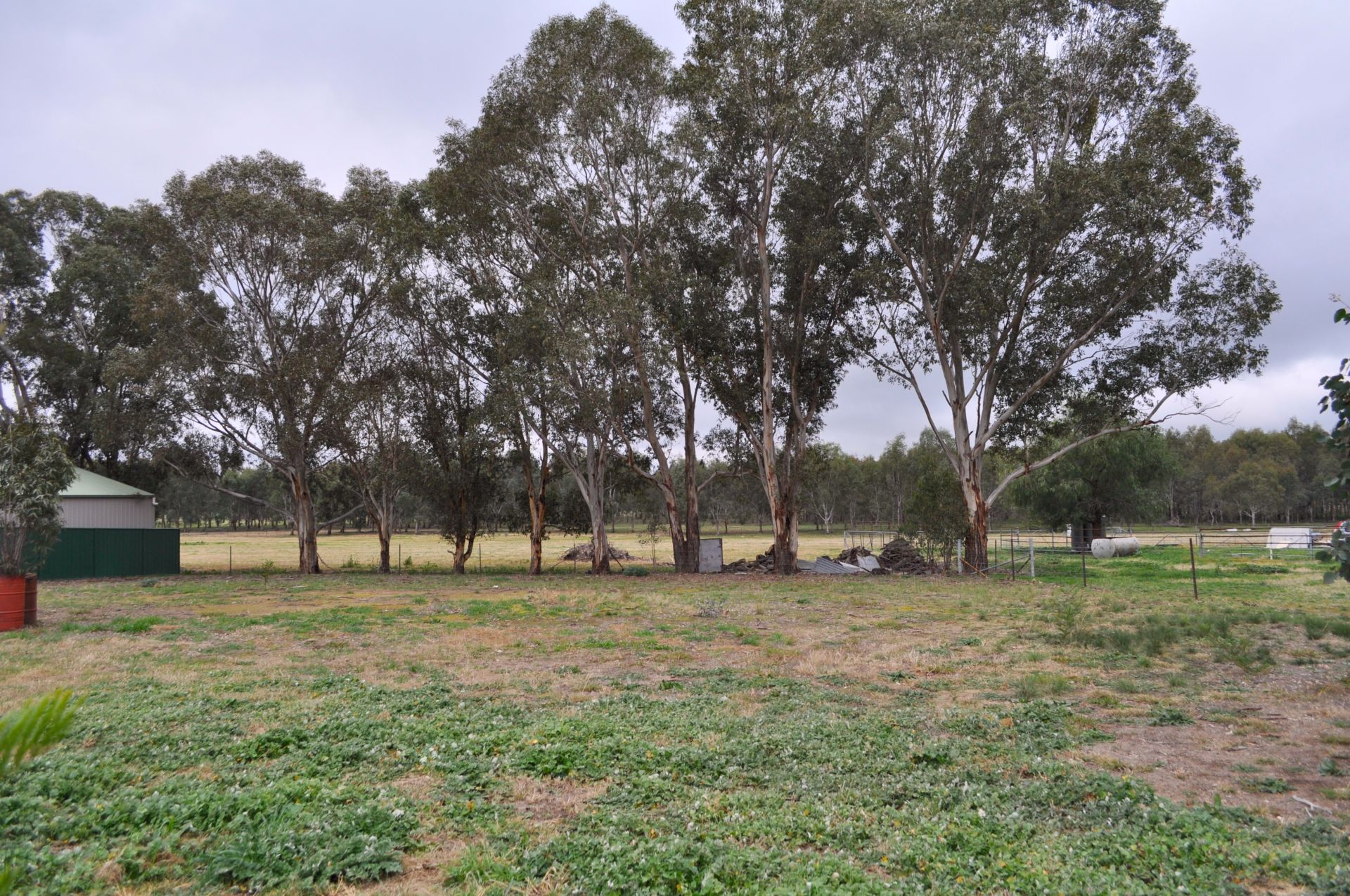 67 Pinkstone Avenue, Cootamundra NSW, Cootamundra - Thumbnail 4
