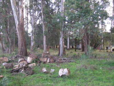 1
 
 
 
  
 
 
 1
 
 
 
 
 
 
 
 
 37 Native Rock Road, RAILTON TAS 7305, Railton - Thumbnail 5