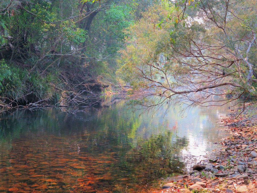 438 Upper Rollands Plains Rd, ROLLANDS PLAINS NSW 2441