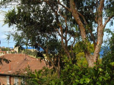 20/41-43 Carr Street COOGEE NSW, Coogee - Thumbnail 6
