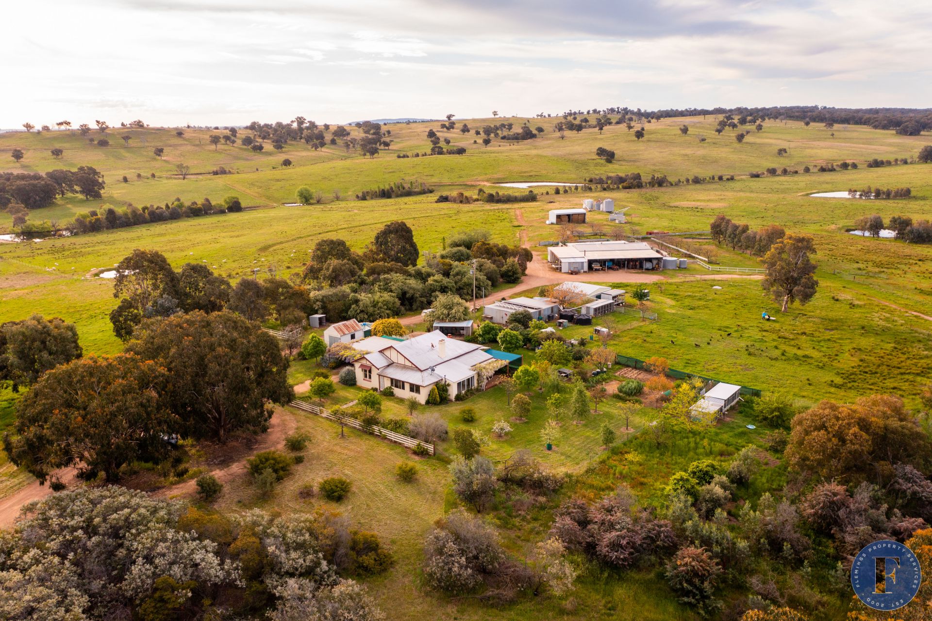 Belview 67 Cains Road, Boorowa NSW, Boorowa - Thumbnail 4