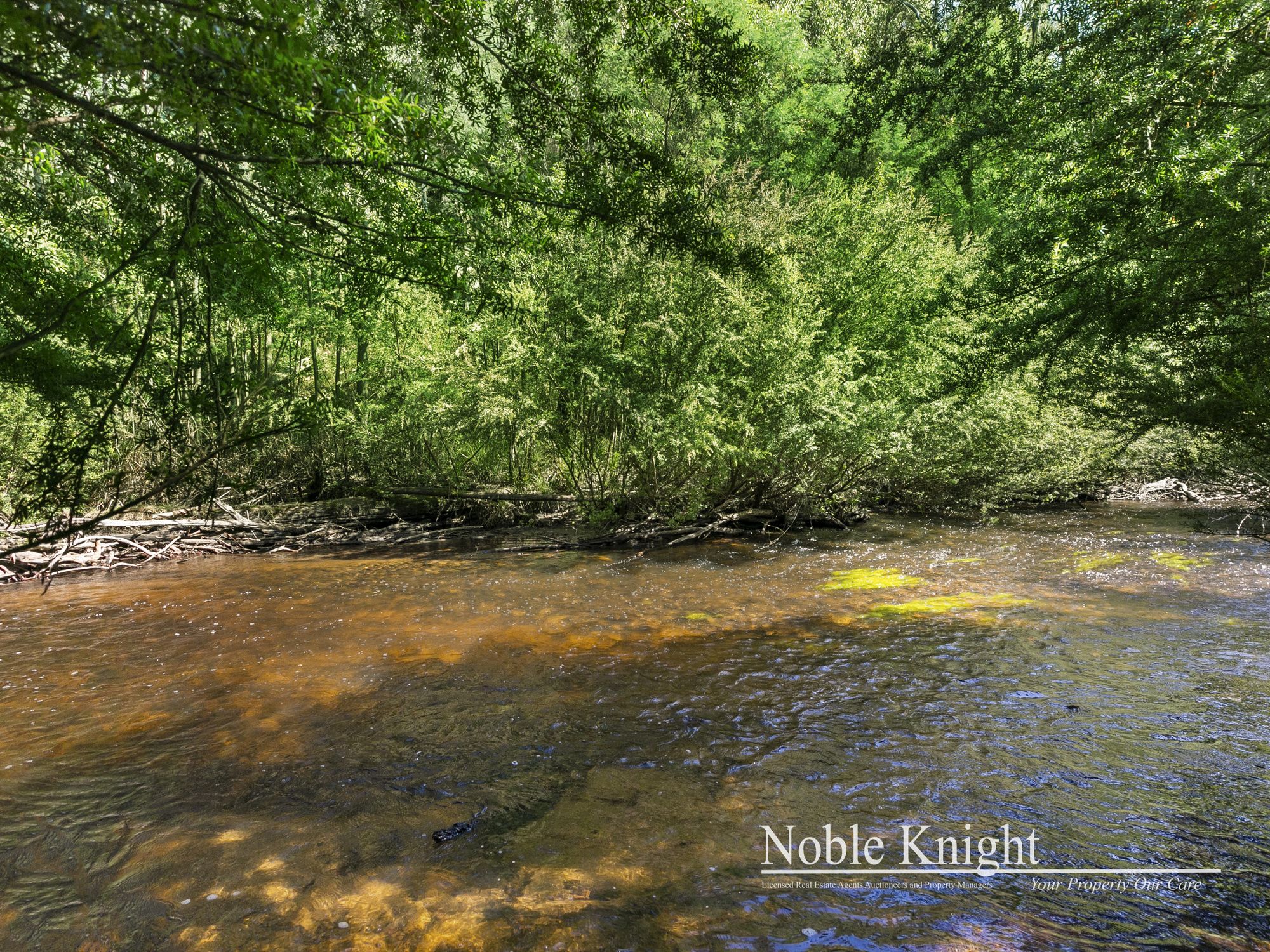 253 Wilhelmina Falls Road Murrindindi