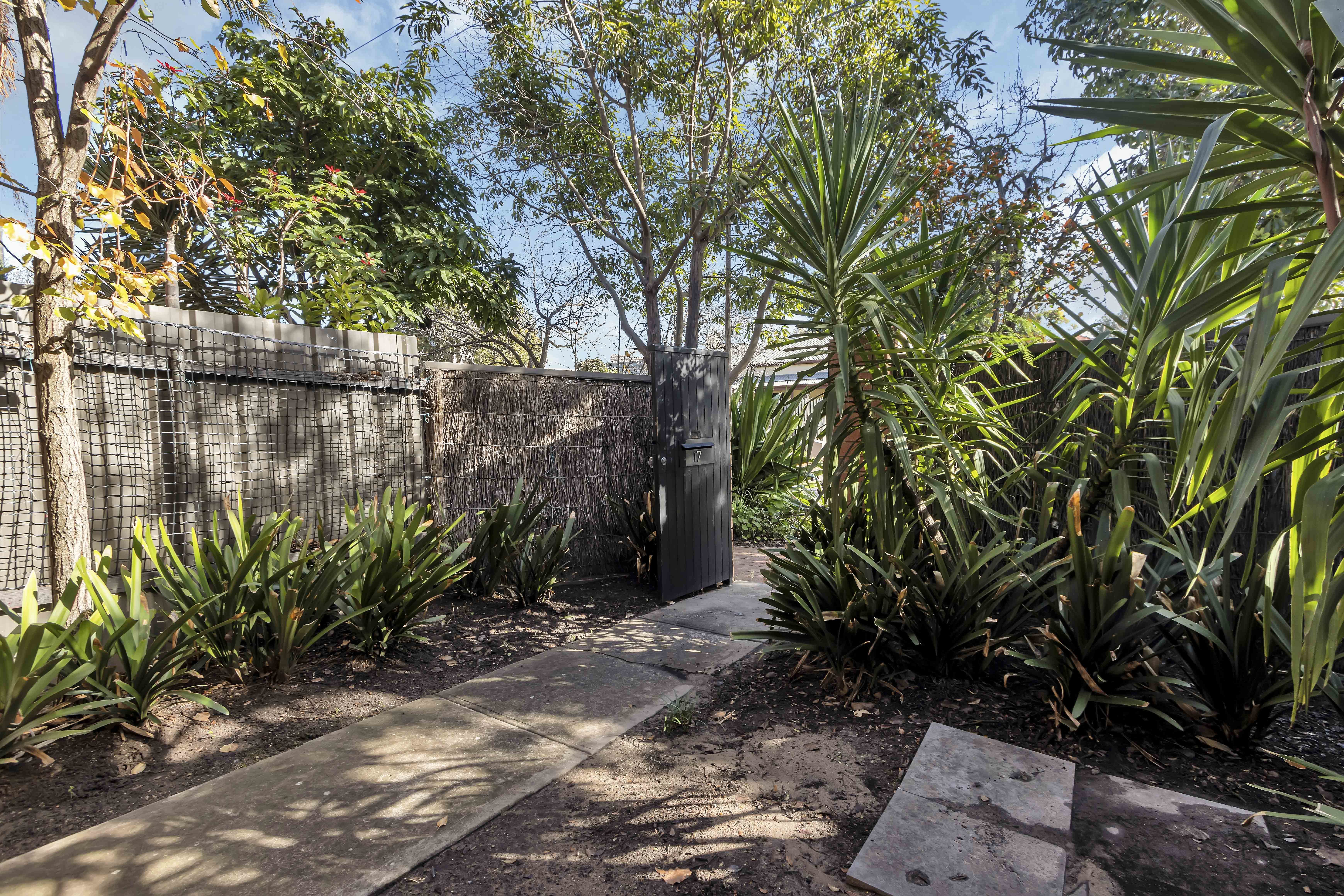 7/17  Brown Street  Brompton 5007