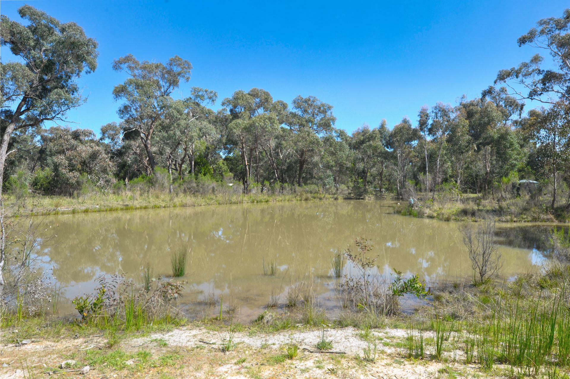65 Lemajics Road Scarsdale VIC, Scarsdale - Thumbnail 3