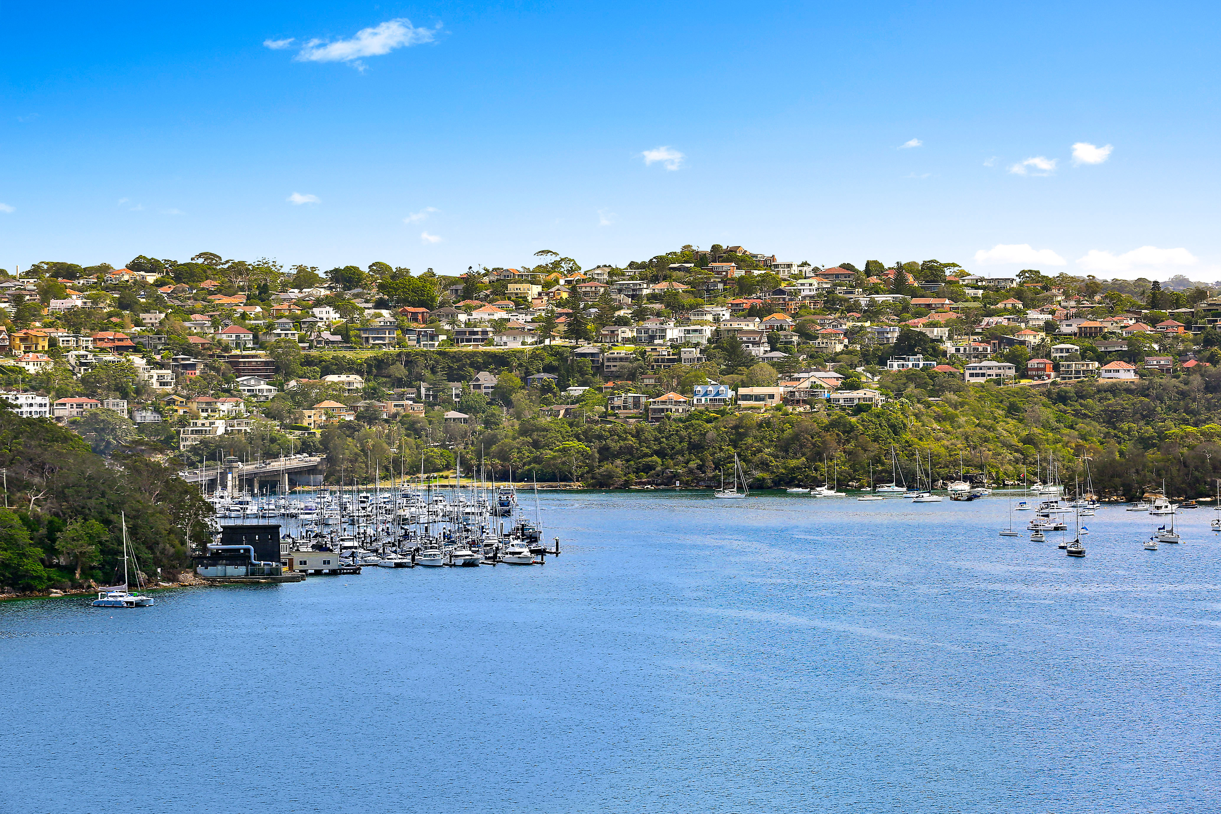 5  Burran Avenue Mosman 2088