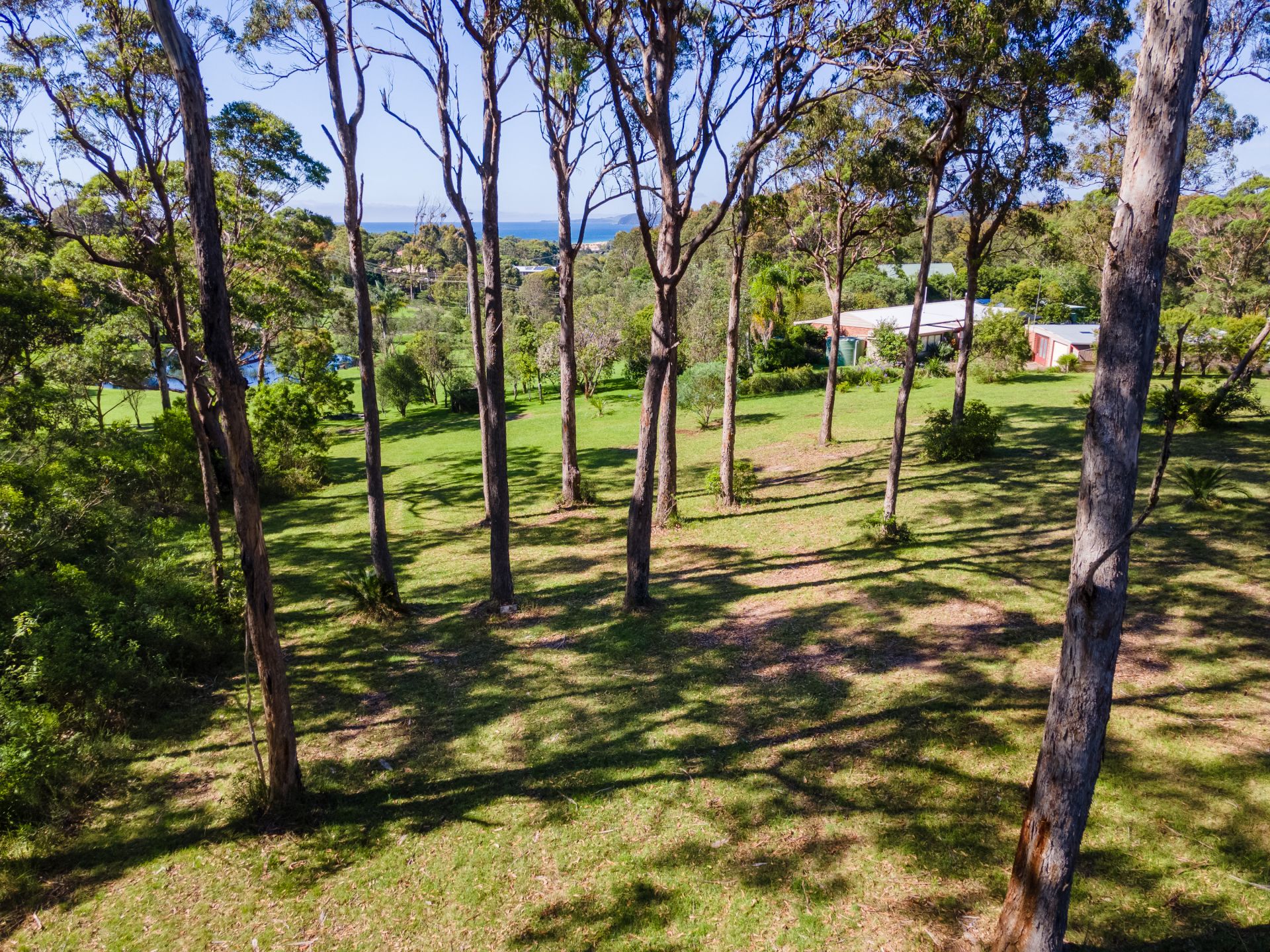 1/4091 TathraBermagui Road, Bermagui Butterfield Property
