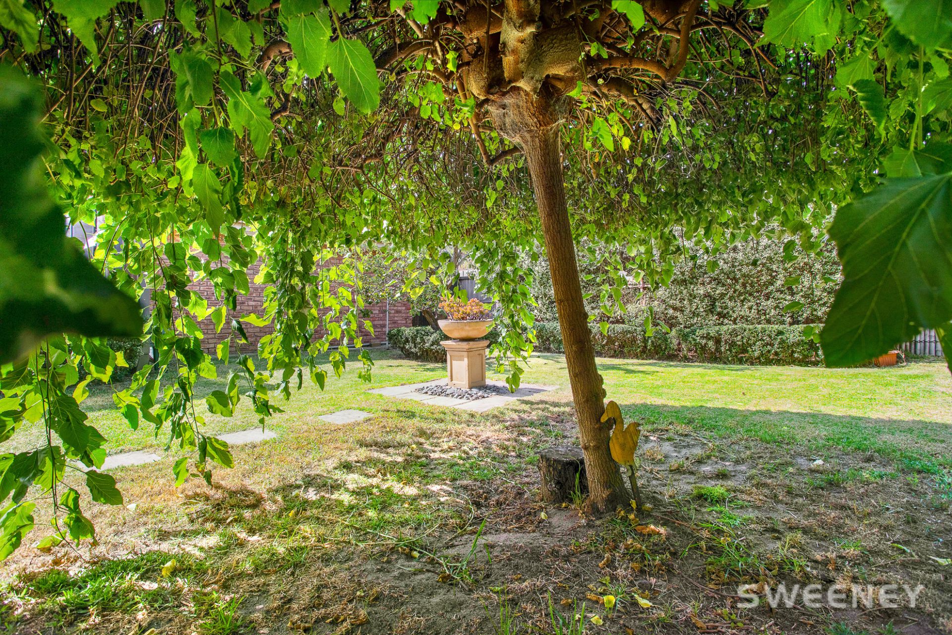 206 Blyth Street, Altona - Thumbnail 8
