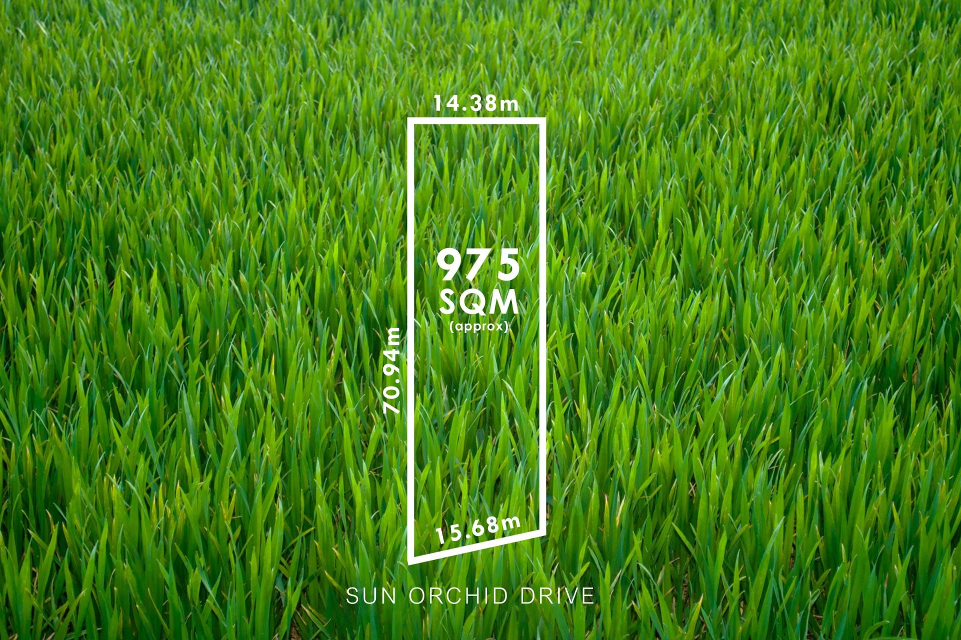 63 Sun Orchid Drive, Chiton - Thumbnail 2