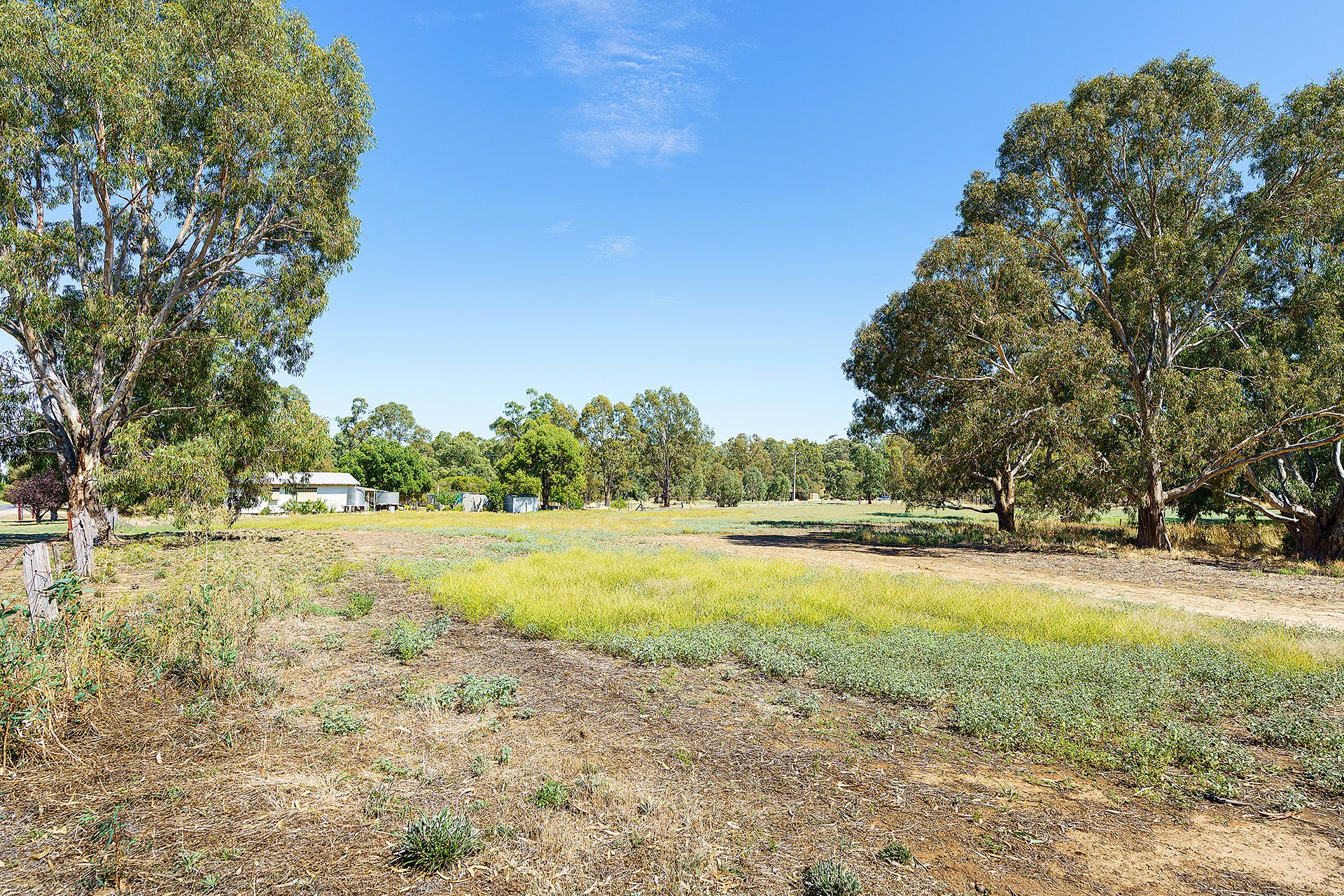 5 Adams Road, Harcourt - Thumbnail 5