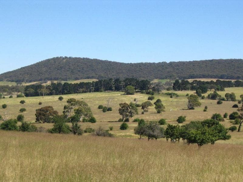 346 Rosemont Road, GOULBURN Goulburn First National Real Estate