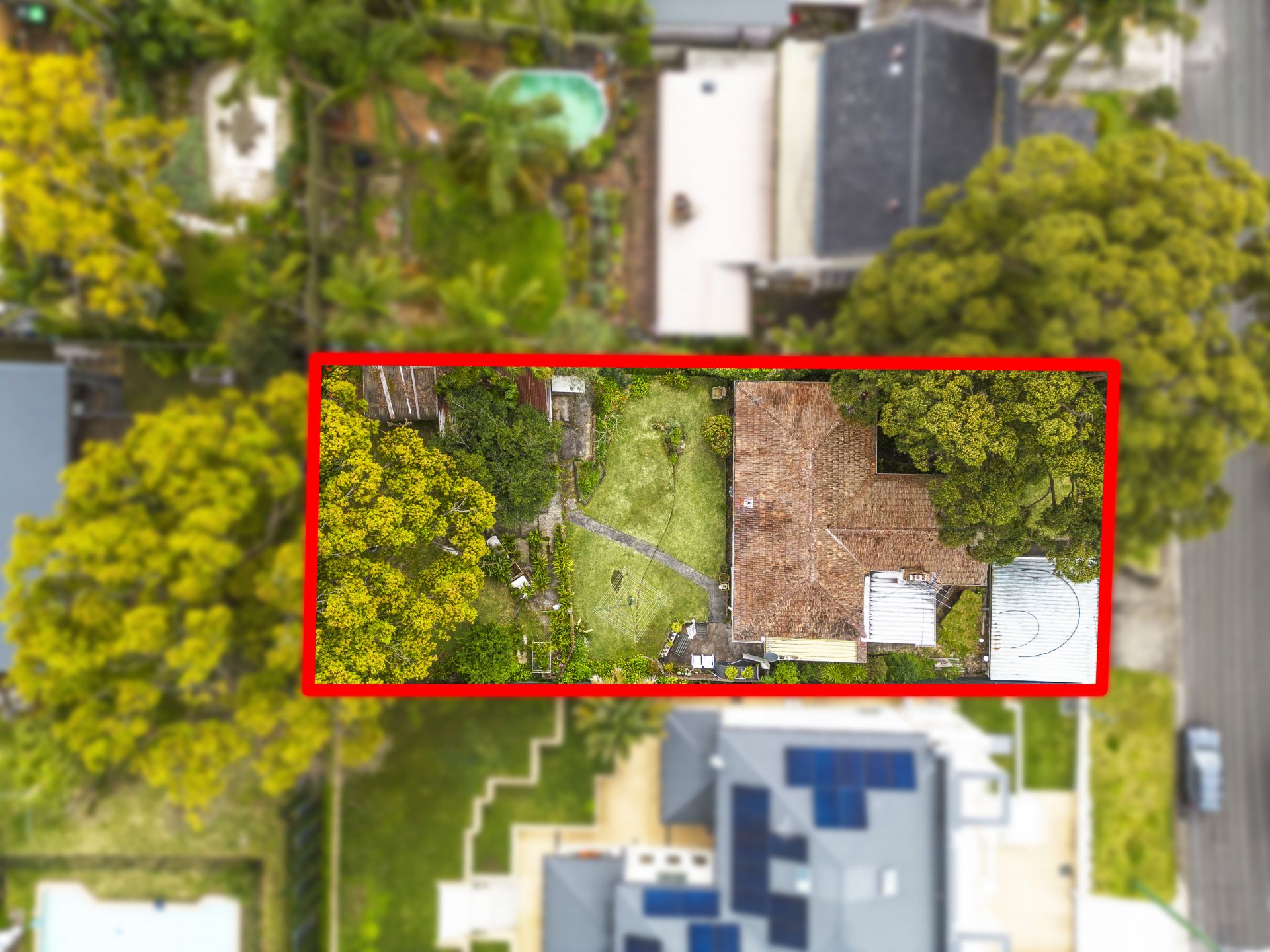 49 Corea Street, Sylvania, Sylvania - Thumbnail 2