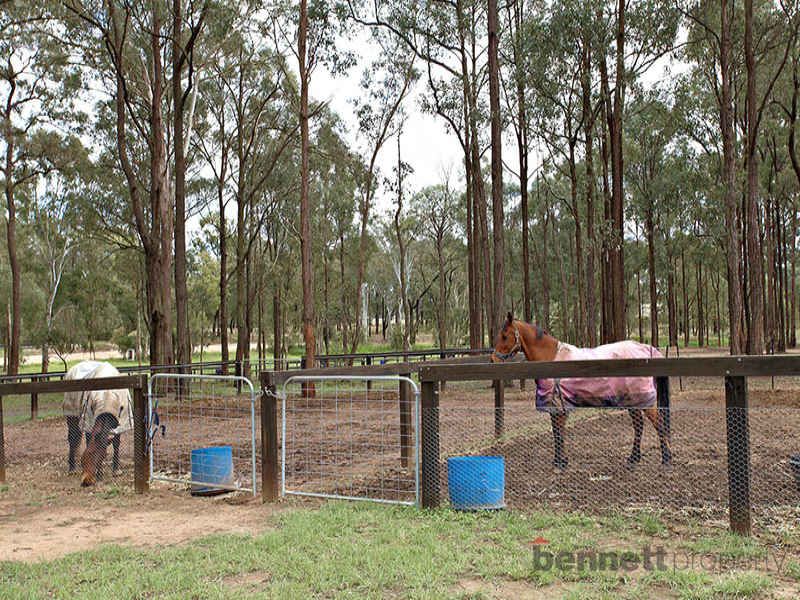 LONDONDERRY, NSW, Londonderry - Thumbnail 5