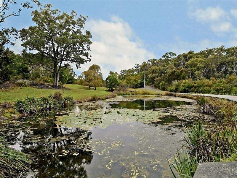 31 Halls Road, Arcadia - Thumbnail 3