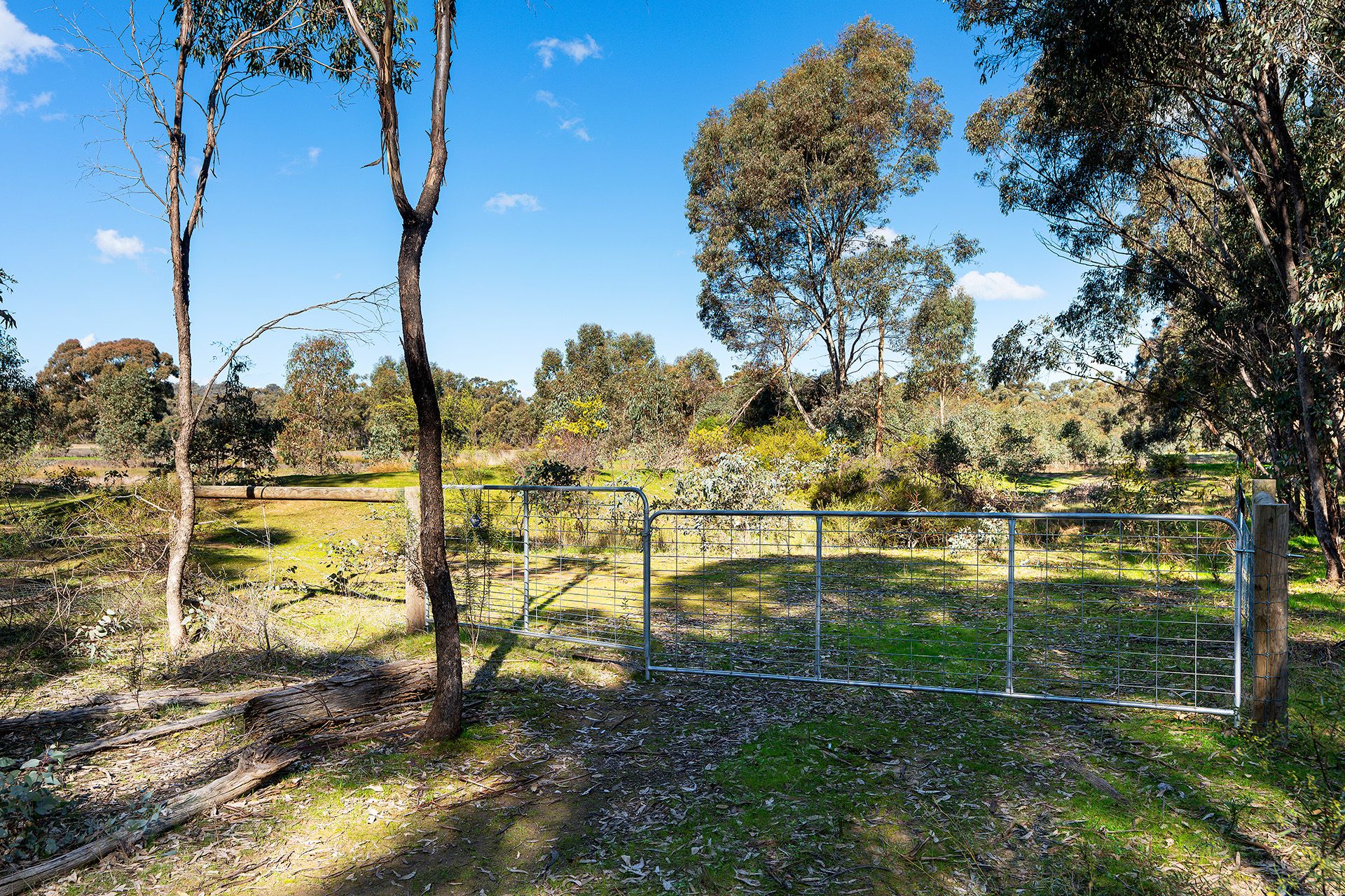 Lot 5, 58 Main Street Eldorado, Harcourt - Thumbnail 5