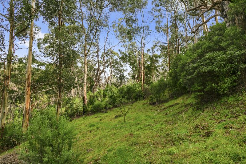 35 Riverside Drive, Wye River, VIC, Wye River - Thumbnail 4