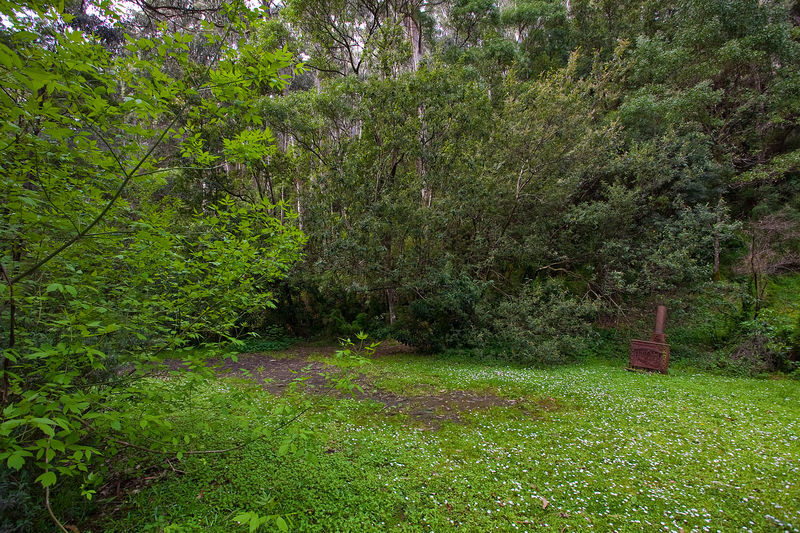 2/4 Illowra Avenue, Wye River, VIC, Wye River - Thumbnail 5