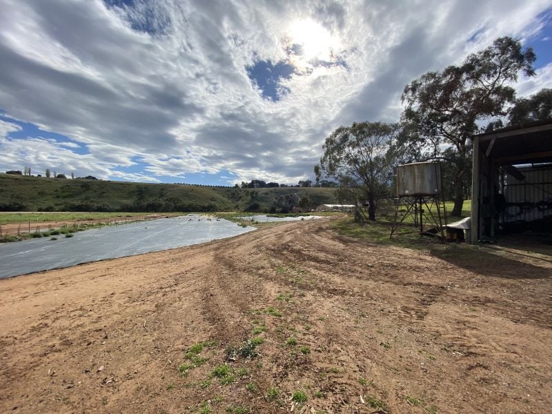 Commercial For Rent Jason Real Estate