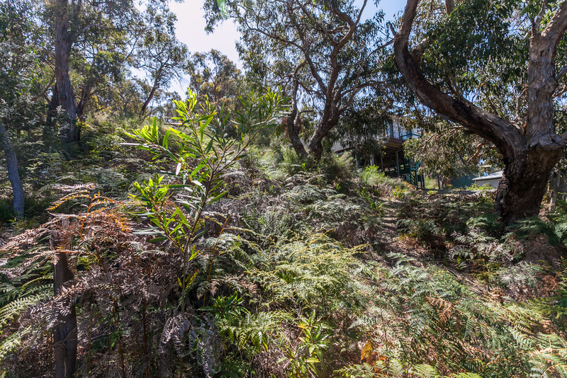 30 Niblick Street, Anglesea, VIC, Anglesea - Thumbnail 6