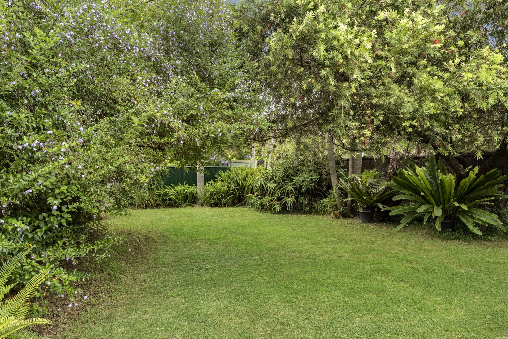 Real Estate For Sale 29 Campbell Avenue Dee Why , NSW