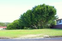 14 Island Place URUNGA NSW