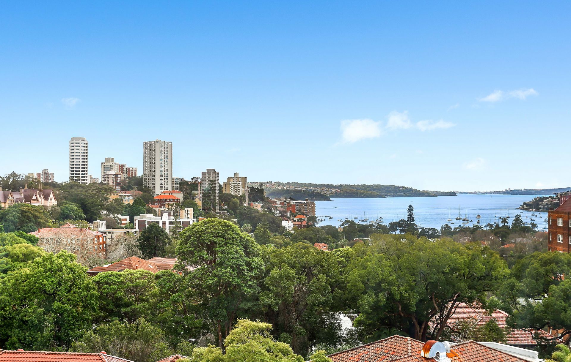 72/365A Edgecliff Road, Edgecliff, Edgecliff - Thumbnail 4