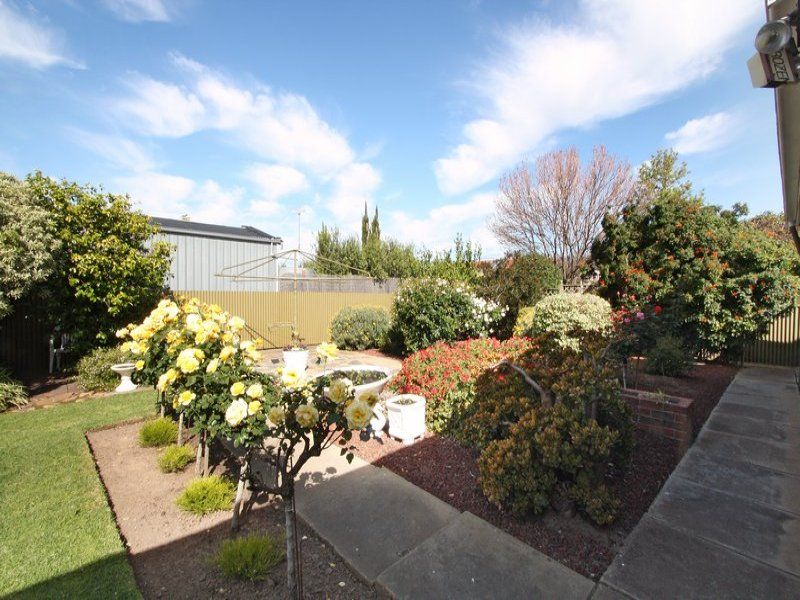 11 Brook Avenue Plympton 5038